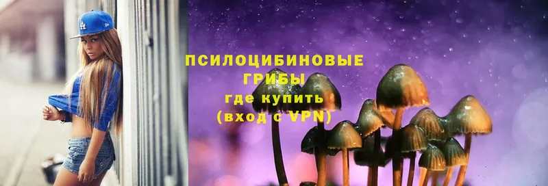 ОМГ ОМГ как зайти  купить   Корсаков  Галлюциногенные грибы Magic Shrooms 